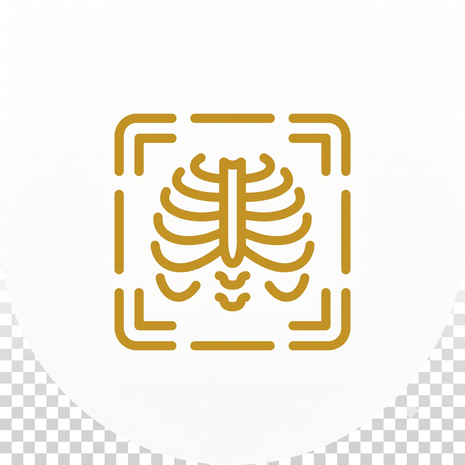 Diploma in Medical Radiographer Technology