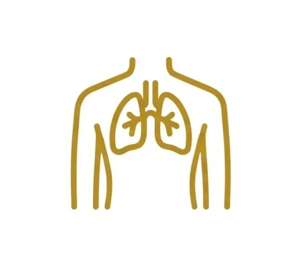 Diploma in Medical Radiographer Technology (DMRT)